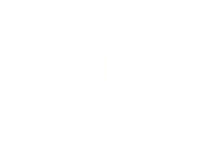Very light, nearly invisible vertical stroke near the center of a white background.