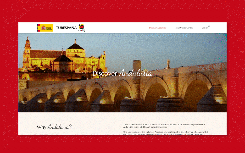 Microsite Design image 2