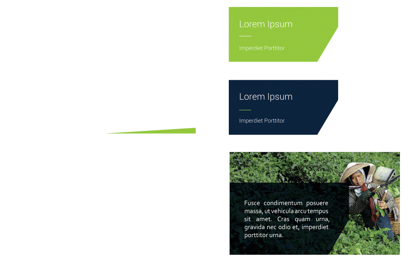 Brand Identity image 1