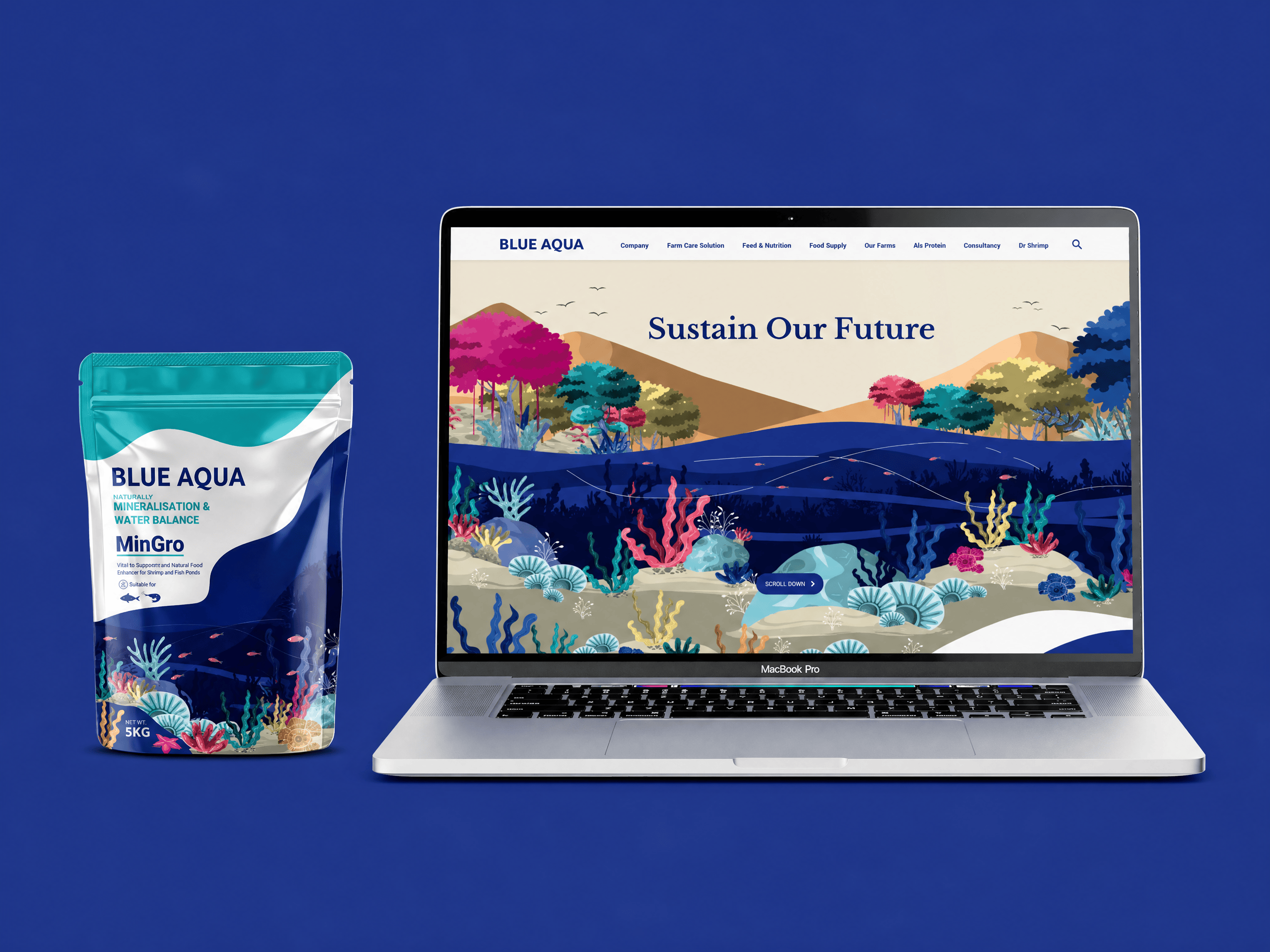 Overview collage of various Blue Aqua brand collateral, including packaging pouches and website screens.
